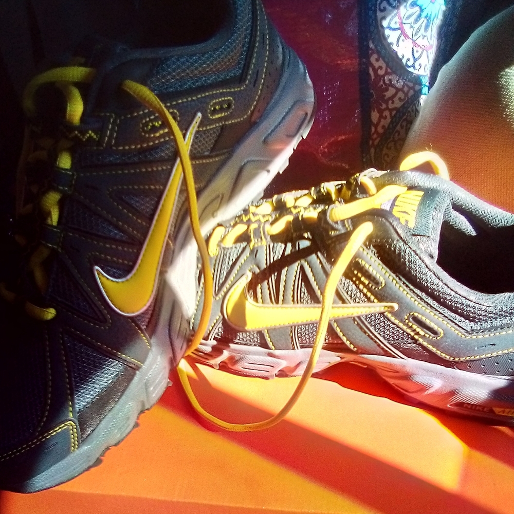 Nike air alvord 8